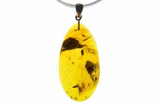 Polished Baltic Amber Pendant (Necklace) - Contains Flies! #339484