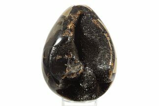 Septarian Dragon Egg Geode - Sparkly Black Crystals #336457