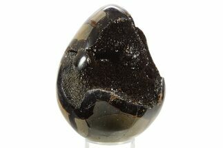 Septarian Dragon Egg Geode - Sparkly Black Crystals #336465