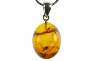 Polished Baltic Amber Pendant (Necklace) - Contains Flies & Ant! #339499