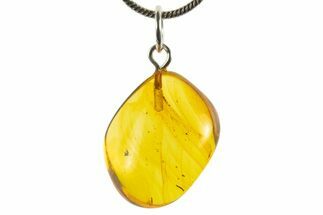 Polished Baltic Amber Pendant (Necklace) - Contains Fly! #339536