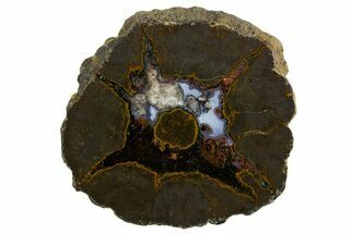 Colorful Polished Thunderegg Half - Nevada #337830