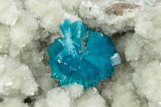 Vibrant Blue Cavansite Crystals on Sparkling Stilbite - India #340996
