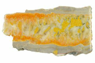 Polished Bumblebee Jasper Slab - Indonesia #338302