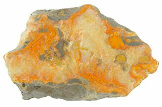 Polished Bumblebee Jasper Slab - Indonesia #338303