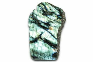 Tall, Single Side Polished Labradorite - Free-Standing #341818