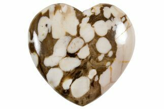 Polished Petrified Peanut Wood Heart - Australia #341911