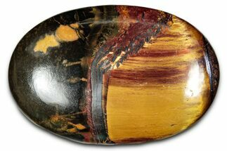 Polished Marra Mamba Tiger's Eye - Australia #342054