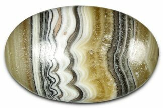 Polished Zebra Calcite - Mexico #342078