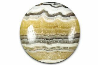 Polished Zebra Calcite - Mexico #342084
