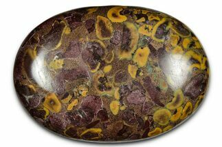 Polished Fruit Jasper Palm Stone - India #342229