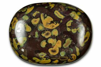 Polished Fruit Jasper Palm Stone - India #342245