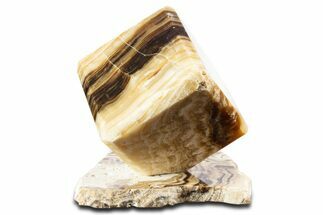 Swirling Polished Chocolate Calcite Cube With Base #342376