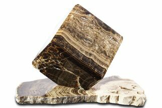 Swirling Polished Chocolate Calcite Cube With Base #342378