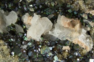 Iridescent, Rainbow Andradite Garnets - Norway #342361