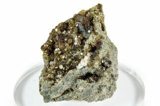 Lustrous Rainbow Andradite Garnets - Norway #342343