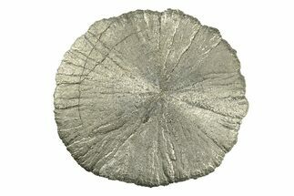 Radiant Pyrite Sun - Sparta, Illinois #342533