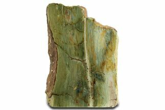 Free-Standing, Gary Green Jasper (Larsonite) Bog Wood - Oregon #334808