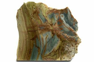 Free-Standing, Gary Green Jasper (Larsonite) Bog Wood - Oregon #334810