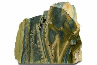 Free-Standing, Gary Green Jasper (Larsonite) Bog Wood - Oregon #334881