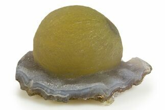 Botryoidal Yellow-Green Fluorite on Chalcedony - India #342384