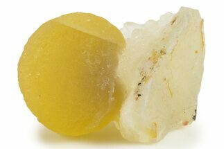 Botryoidal Yellow Fluorite on Quartz & Amethyst - India #342388