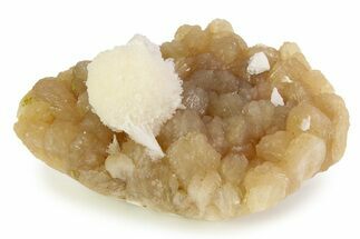 Scolecite Crystals on Honey-Colored Stilbite - India #343040