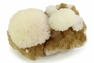 Scolecite Crystals on Honey-Colored Stilbite - India #343047