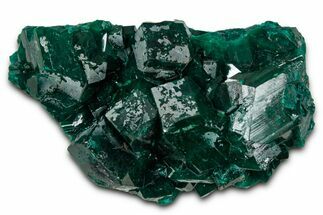 Gemmy, Emerald-Green Dioptase Crystals - Congo #343340