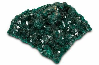 Sparkly, Emerald-Green Dioptase Crystals - Congo #343363