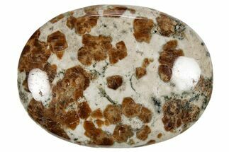 Polished Garnet In Wollastonite Palm Stone - Namibia #343951