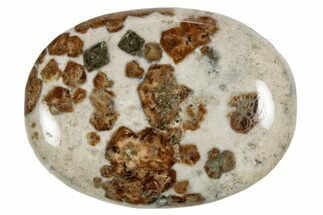 Polished Garnets In Wollastonite Palm Stone - Namibia #343952