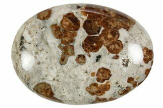 Polished Garnets In Wollastonite Palm Stone - Namibia #343953