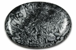 Polished Pinolite Palm Stone - Austria #343887