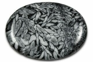 Polished Pinolite Palm Stone - Austria #343889