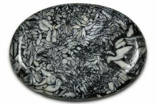 Polished Pinolite Palm Stone - Austria #343891