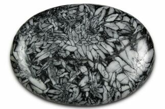 Polished Pinolite Palm Stone - Austria #343895
