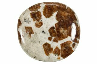 Polished Garnet In Wollastonite Stone - Namibia #343977