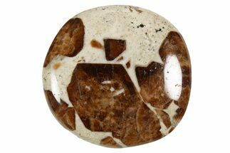 Polished Garnet In Wollastonite Stone - Namibia #343978