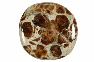 Polished Garnet In Wollastonite Stone - Namibia #343979