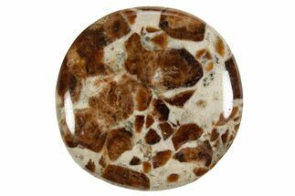 Polished Garnet In Wollastonite Stone - Namibia #343980