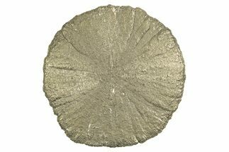 Radiant Pyrite Sun - Sparta, Illinois #342552