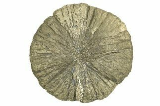 Radiant Pyrite Sun - Sparta, Illinois #342555