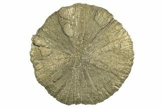 Radiant Pyrite Sun - Sparta, Illinois #342562