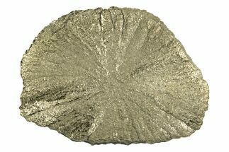 Radiant Pyrite Sun - Sparta, Illinois #342577