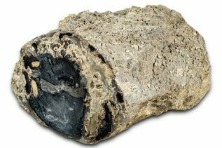 Recently Added For Sale