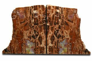 Tall Colorful Arizona Petrified Wood Bookends #344124