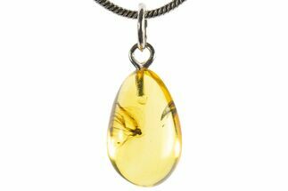 Polished Baltic Amber Pendant (Necklace) - Contains Fly! #339542