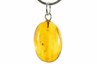Polished Baltic Amber Pendant (Necklace) - Contains Fly! #339552