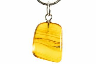 Polished Baltic Amber Pendant (Necklace) - Contains Fly! #339556